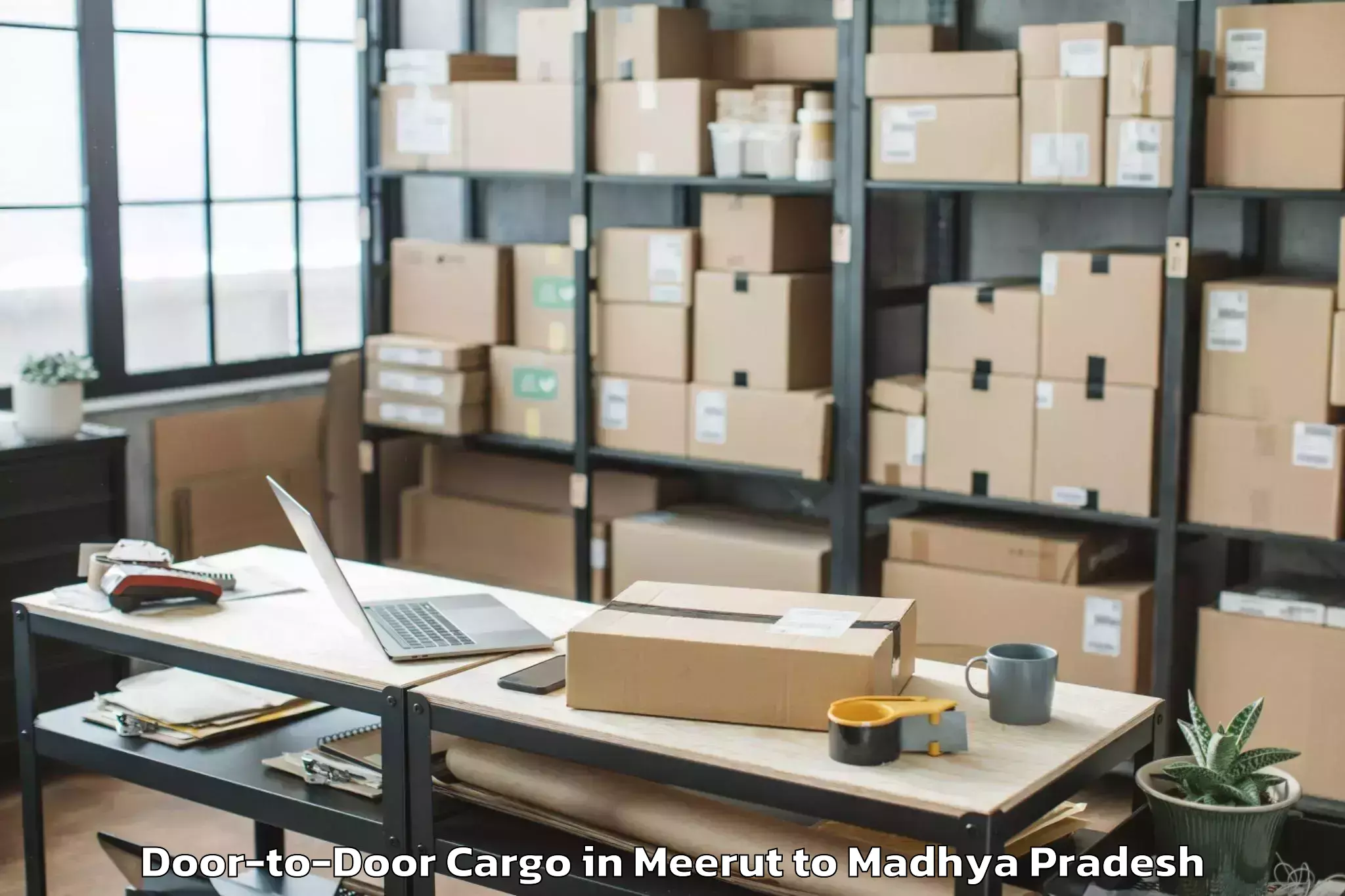 Leading Meerut to Mandsaur Door To Door Cargo Provider